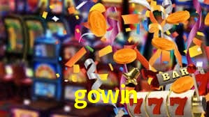 Premium Interface gowin